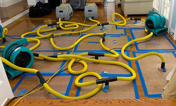 Professional Flood Damage Restoration technician working in Matheson, CO